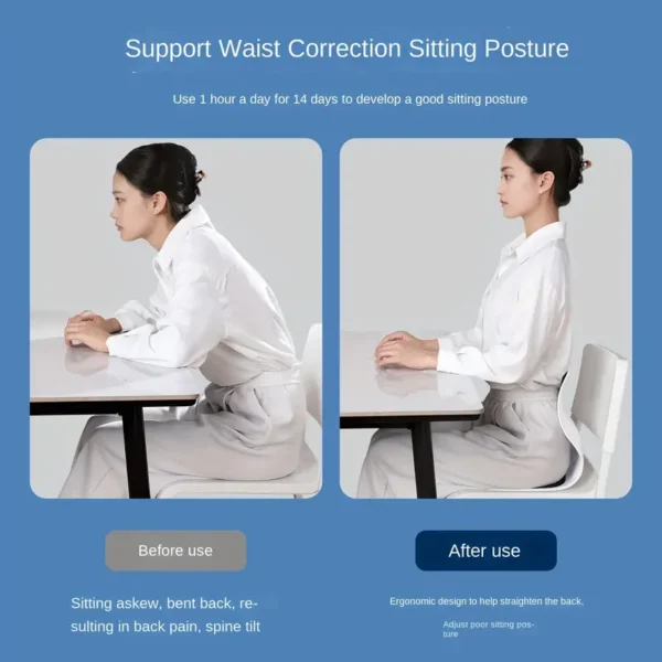 Ergonomic Chair with Lumbar Support